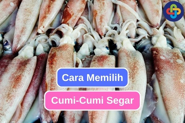 Cara Memilih Cumi-Cumi Segar untuk Hidangan Anda